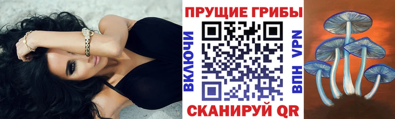 купить наркоту  Козельск  hydra ССЫЛКА  Галлюциногенные грибы ЛСД 