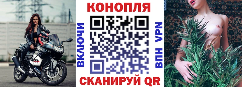 продажа наркотиков  Козельск  Бошки марихуана THC 21% 